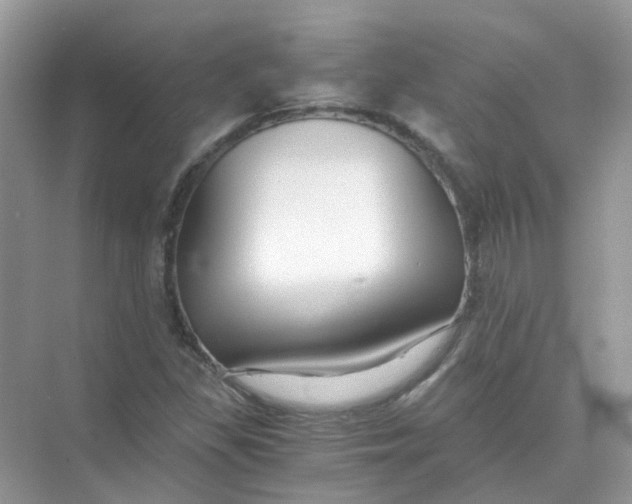 X0000073861309200608312016