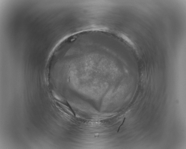 X0000073861310200608312016