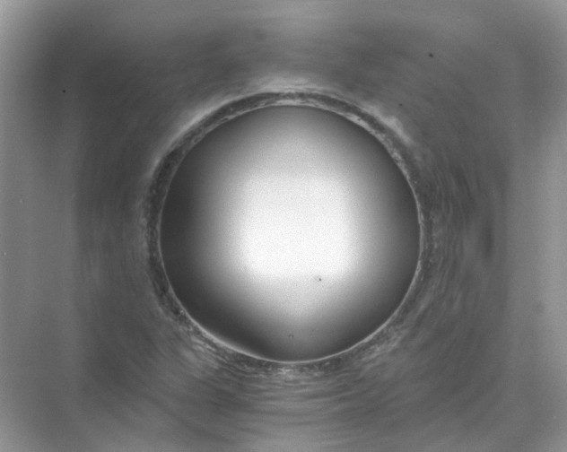 X0000073861311200608312016