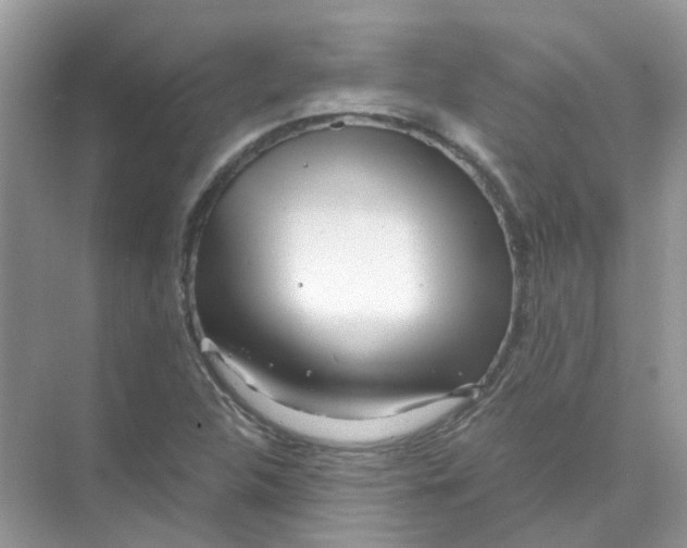 X0000073861312200608312016