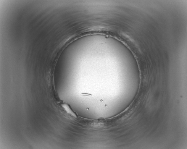 X0000073861313200608312016