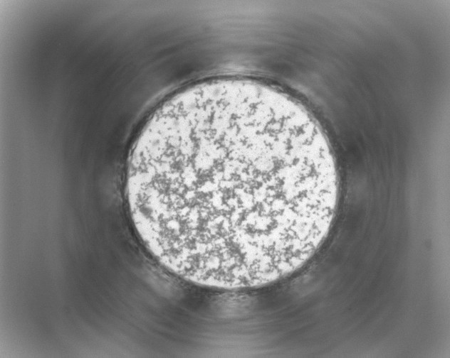 X0000073861314200608312016