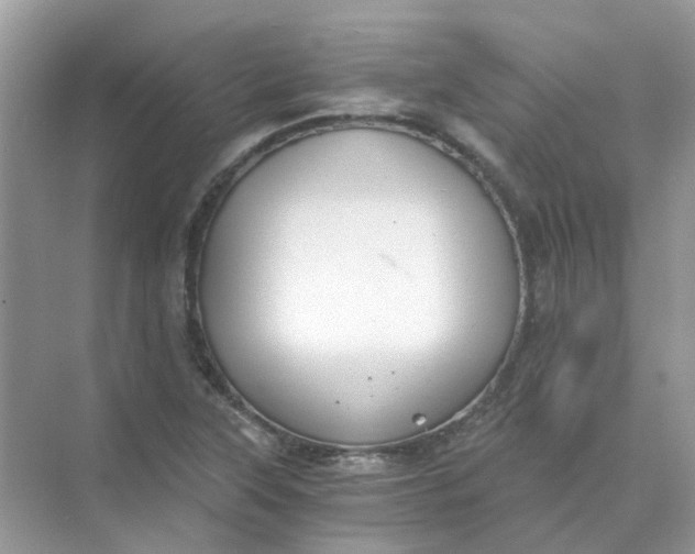 X0000073861315200608312016