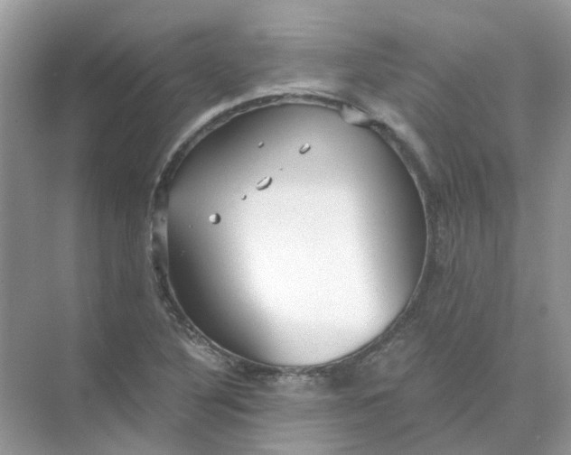 X0000073861316200608312016