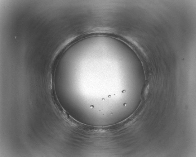 X0000073861317200608312016