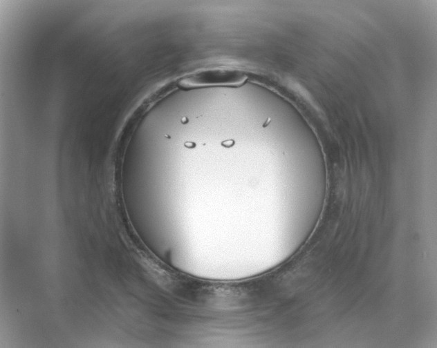 X0000073861318200608312016