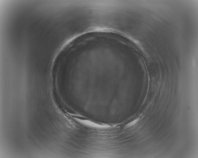 X0000073861319200608312016