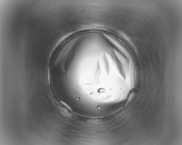 X0000073861320200608312016