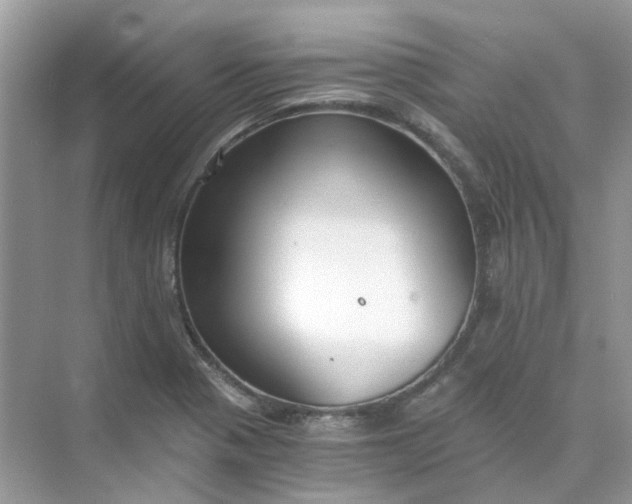 X0000073861321200608312016