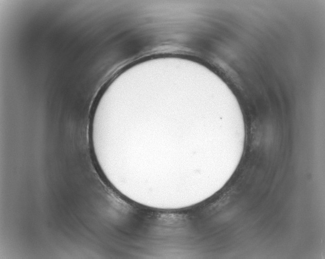 X0000073861322200608312016