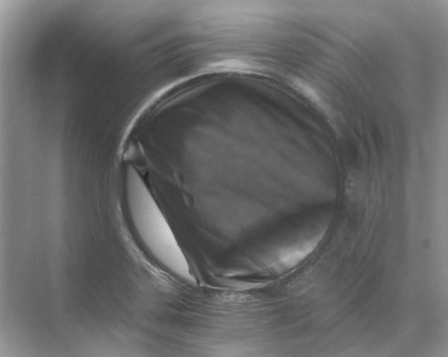 X0000073861323200608312016