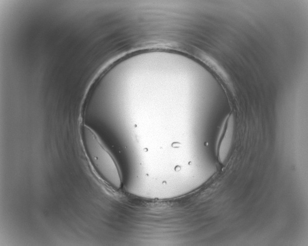 X0000073861332200608312016