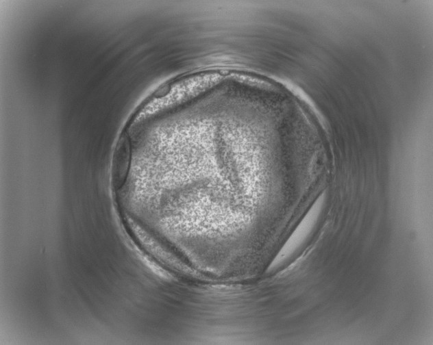 X0000073861333200608312016