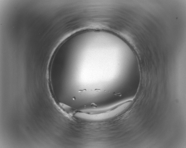 X0000073861335200608312016