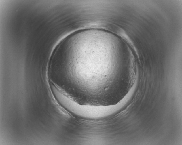 X0000073861336200608312016