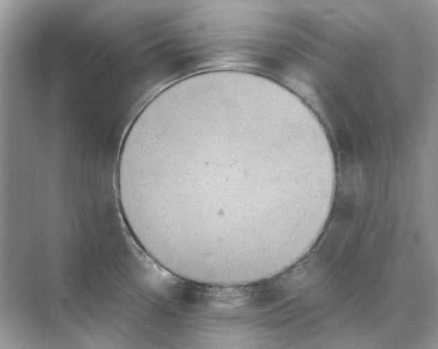 X0000073861338200608312017