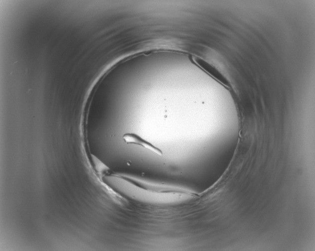 X0000073861339200608312017