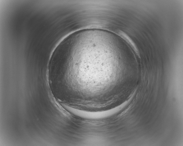 X0000073861340200608312017