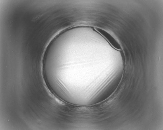 X0000073861341200608312017