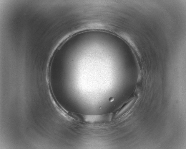 X0000073861342200608312017