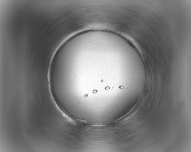 X0000073861343200608312017