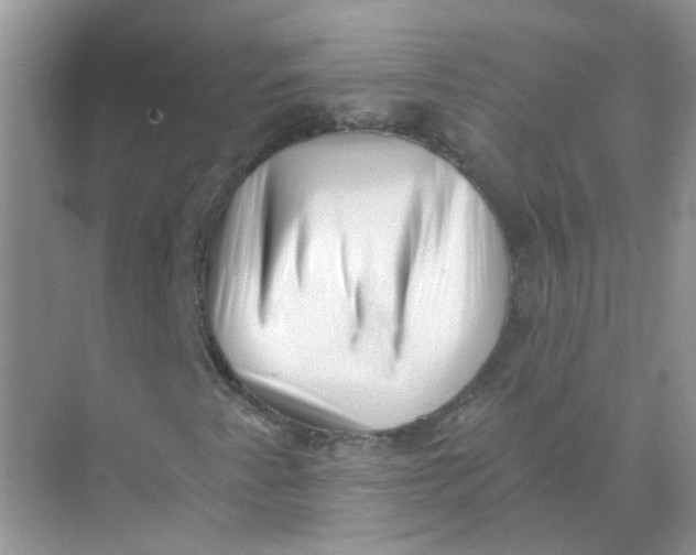 X0000073861345200608312016