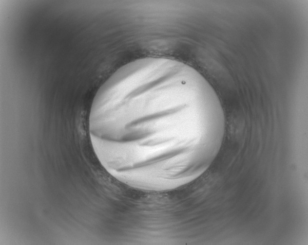 X0000073861346200608312016