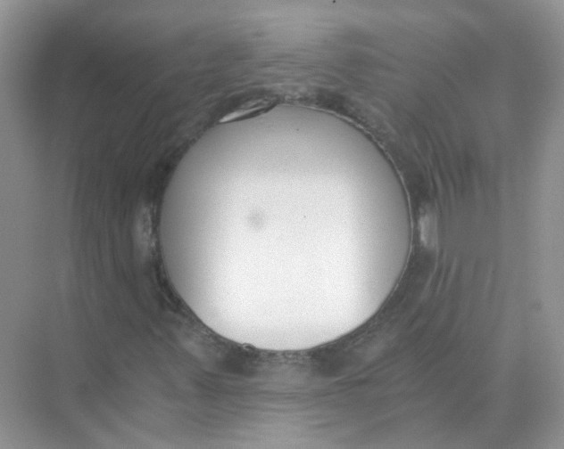 X0000073861347200608312016