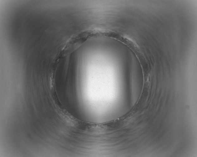 X0000073861348200608312016