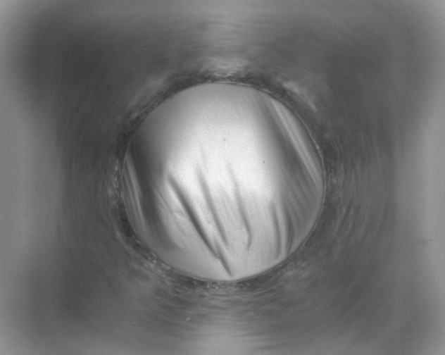 X0000073861349200608312016