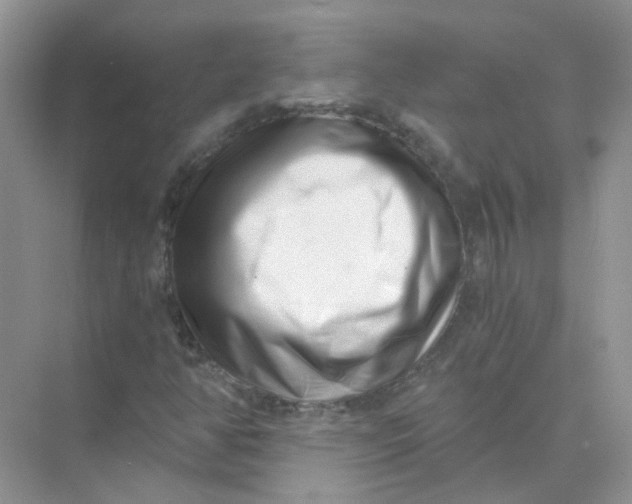 X0000073861350200608312016