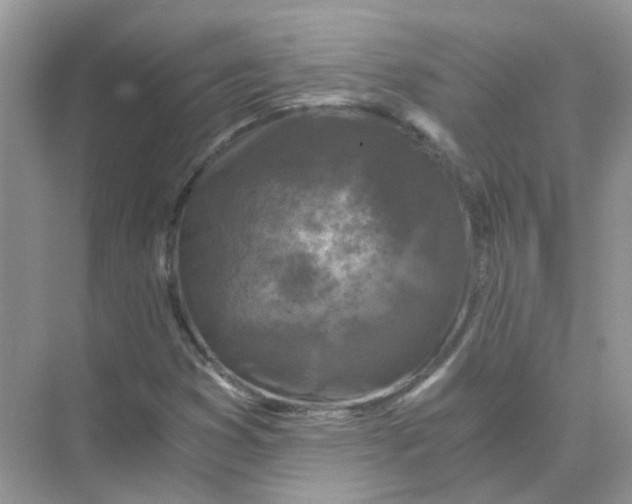 X0000073861353200608312016