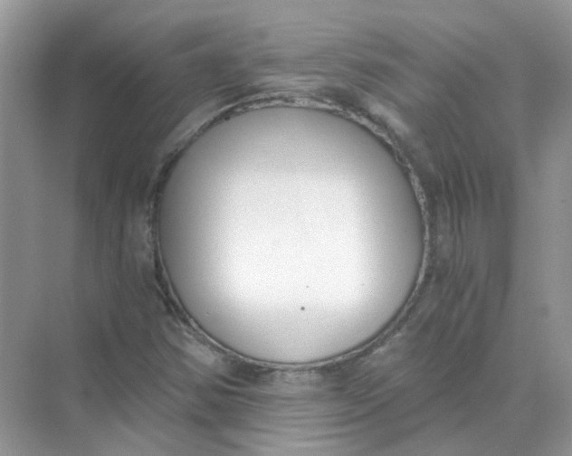 X0000073861354200608312016