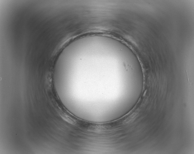 X0000073861355200608312016