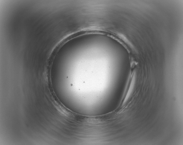 X0000073861356200608312016