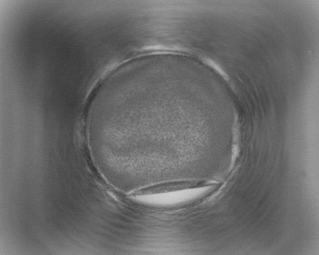 X0000073861357200608312016