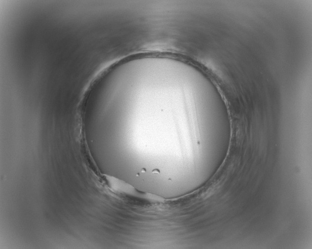 X0000073861358200608312016