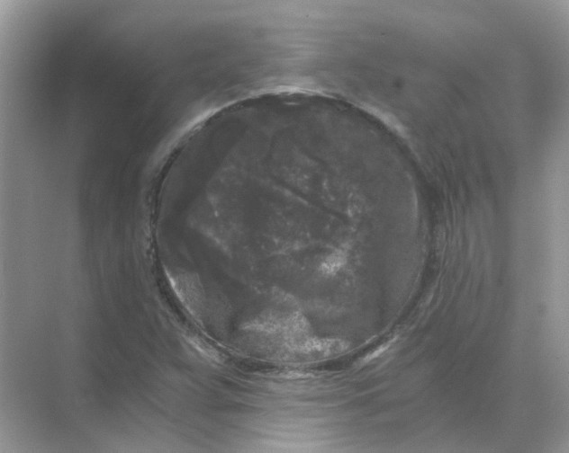 X0000073861359200608312016