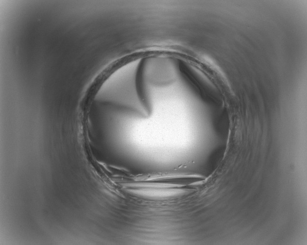 X0000073861360200608312016