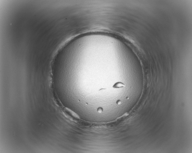 X0000073861363200608312016