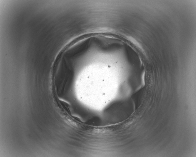 X0000073861364200608312015