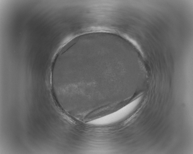 X0000073861365200608312015