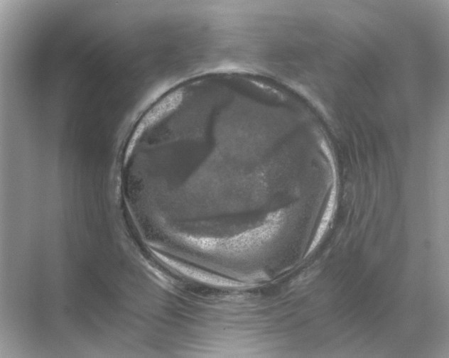 X0000073861367200608312015