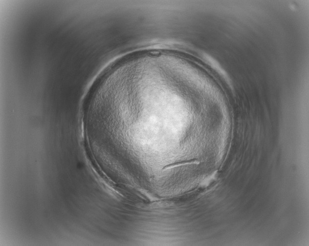 X0000073861368200608312015