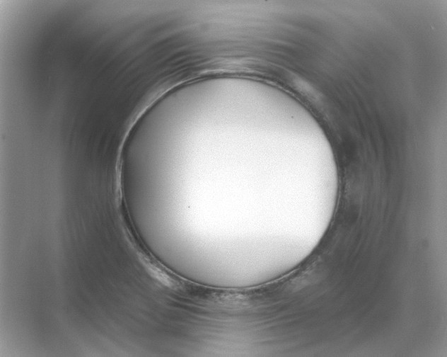 X0000073861370200608312015