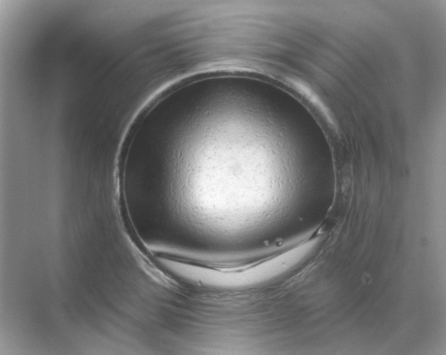 X0000073861372200608312015