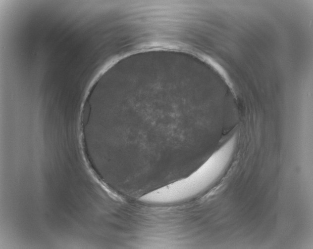 X0000073861373200608312015