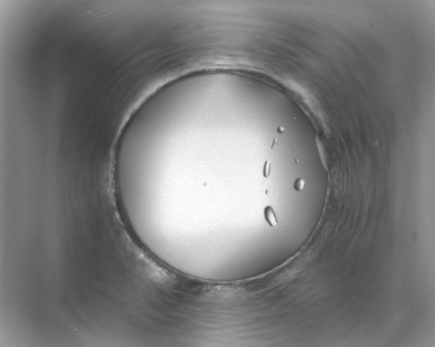 X0000073861374200608312015