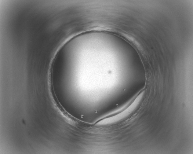 X0000073861375200608312015