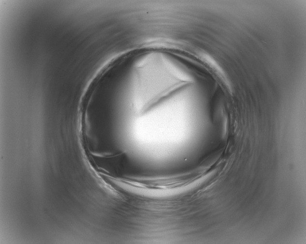 X0000073861376200608312015